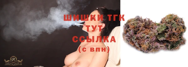 молекула духа Балахна