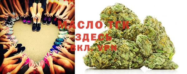 молекула духа Балахна