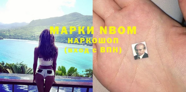 молекула духа Балахна